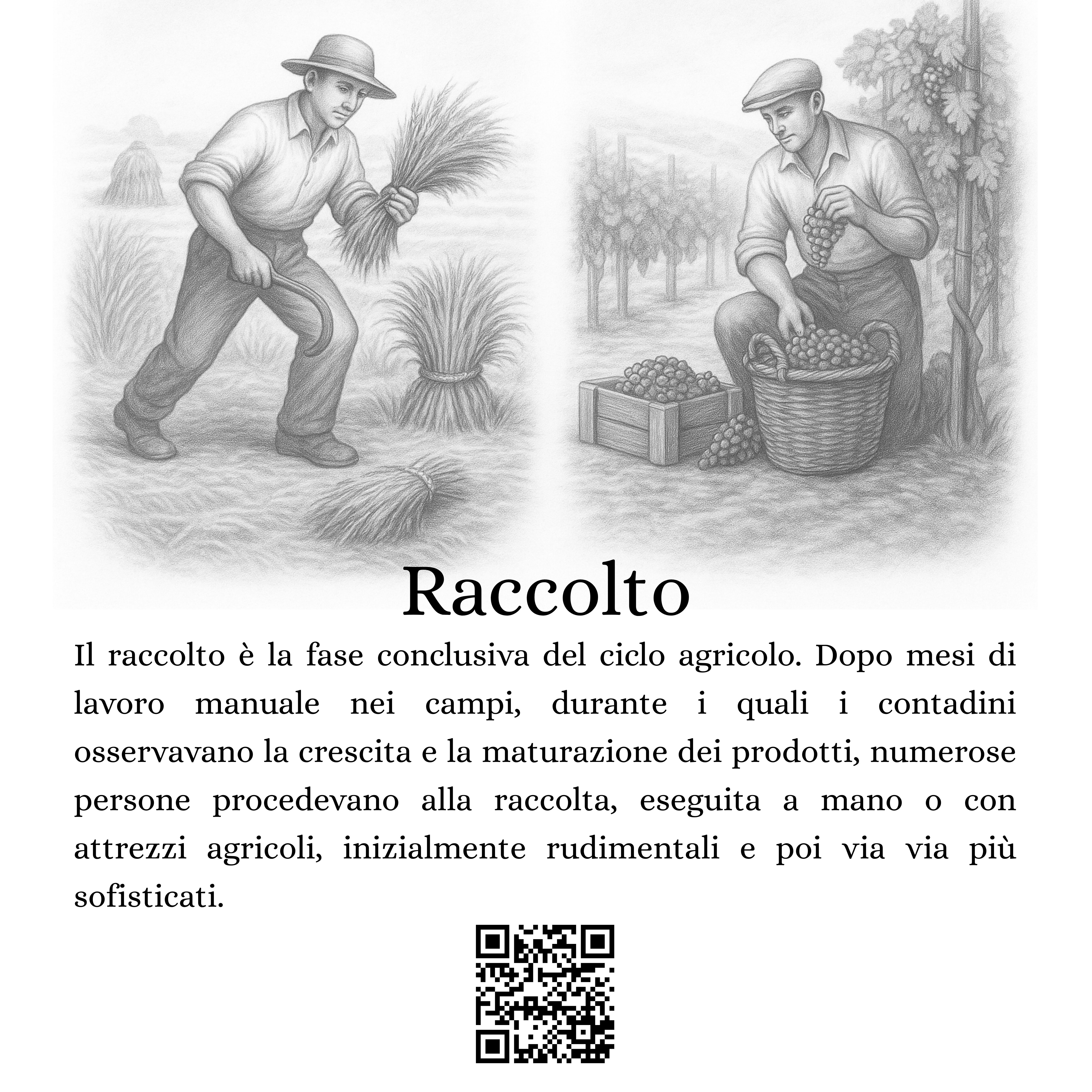 02-Raccolto.jpg