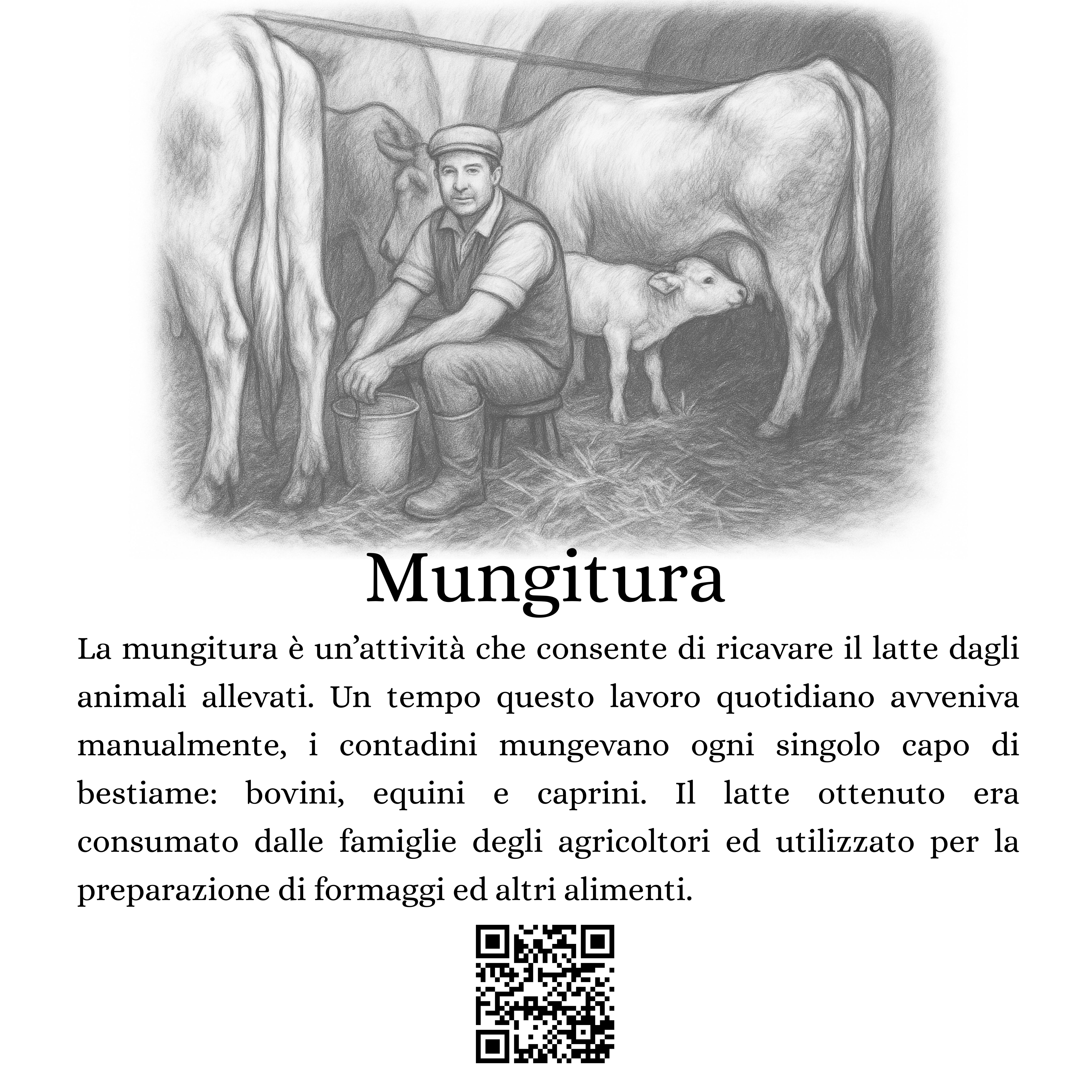03-Mungitura.jpg